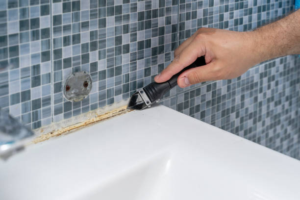 Best DIY Mold Remediation Support Services in New Boston, OH
